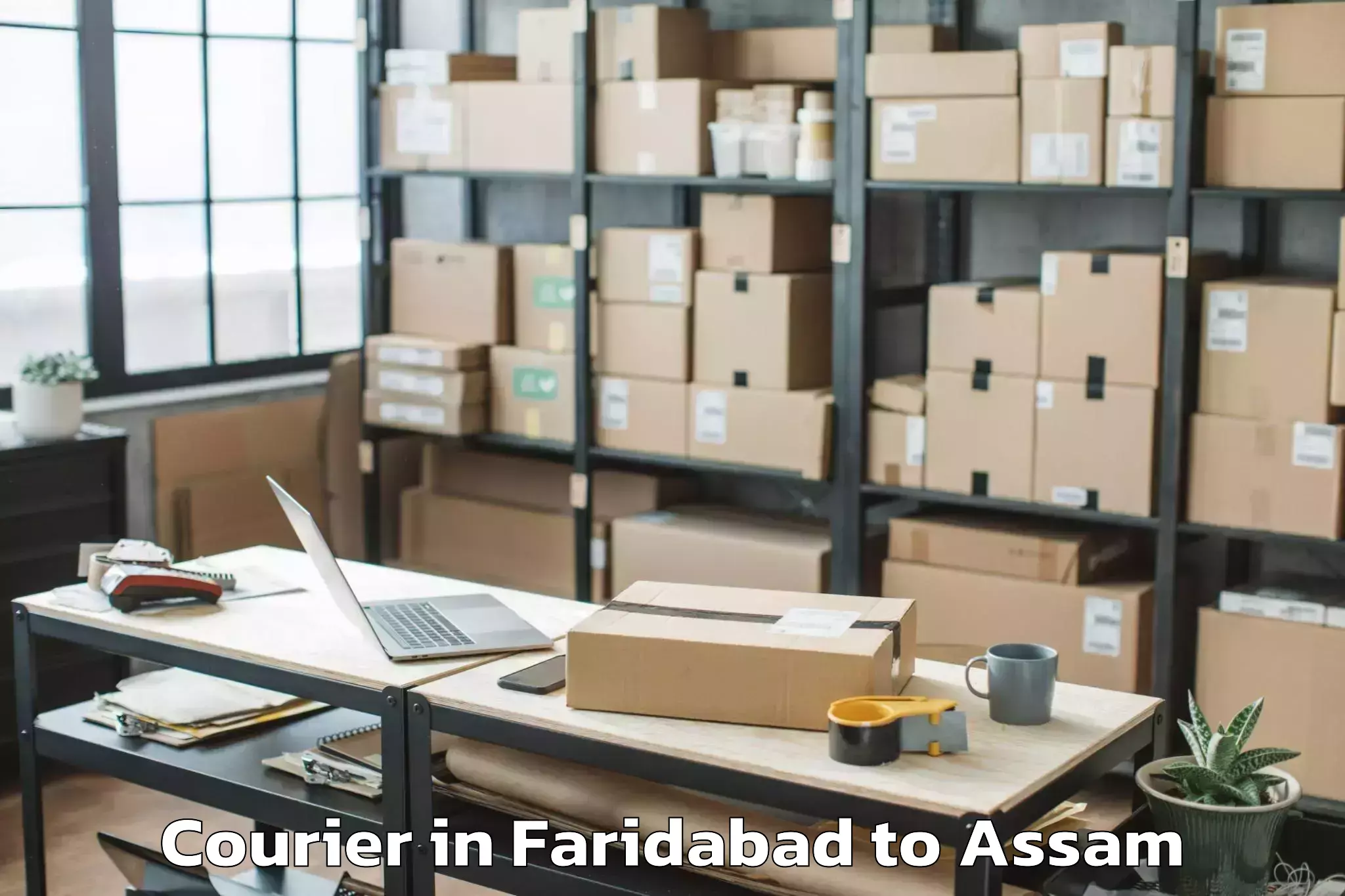 Professional Faridabad to Khoirabari Pt Courier